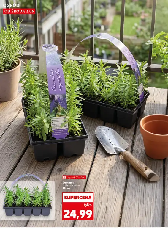 Kaufland - gazetka promocyjna Oferta Kaufland - Ogród od środy 03.06 do środy 10.06 - strona 10