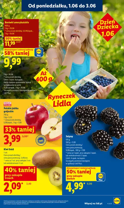 Lidl - gazetka promocyjna Oferta od poniedziałku od poniedziałku 01.06 do środy 03.06 - strona 45