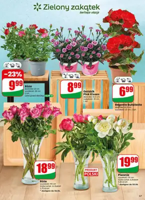 Dino - gazetka promocyjna Gazetka 23 / 2026 od środy 03.06 do wtorku 09.06 - strona 57