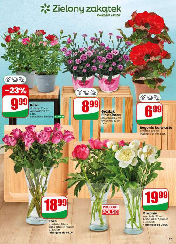 Dino - gazetka promocyjna Gazetka 23 / 2026 od środy 03.06 do wtorku 09.06 - strona 57