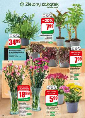 Dino - gazetka promocyjna Gazetka 23 / 2026 od środy 03.06 do wtorku 09.06 - strona 58