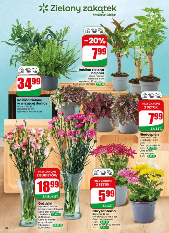Dino - gazetka promocyjna Gazetka 23 / 2026 od środy 03.06 do wtorku 09.06 - strona 58