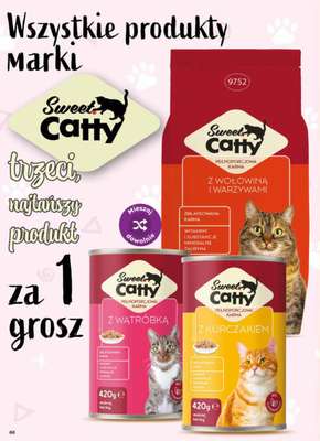 Dino - gazetka promocyjna Gazetka 23 / 2026 od środy 03.06 do wtorku 09.06 - strona 66
