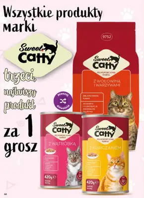 Dino - gazetka promocyjna Gazetka 23 / 2026 od środy 03.06 do wtorku 09.06 - strona 66