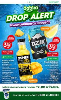 Żabka - gazetka promocyjna Gazetka od środy 03.06 do wtorku 16.06 - strona 13
