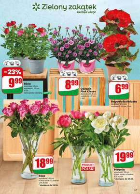 Dino - gazetka promocyjna Gazetka 23 / 2026 od środy 03.06 do wtorku 09.06 - strona 57