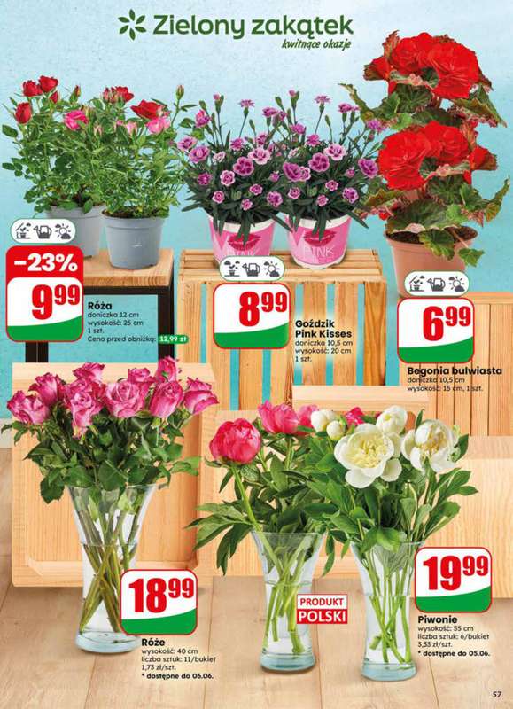 Dino - gazetka promocyjna Gazetka 23 / 2026 od środy 03.06 do wtorku 09.06 - strona 57