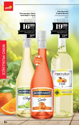 POLOmarket - gazetka promocyjna Katalog alkoholi  do środy 17.06 - strona 6