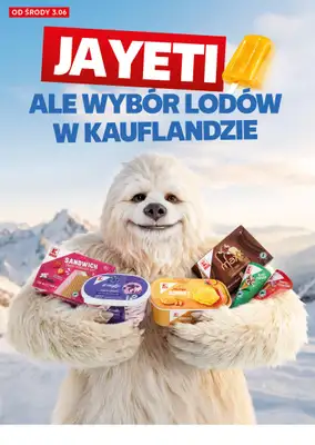 Kaufland - gazetka promocyjna Oferta Kaufland - SUPER SOBOTA od soboty 06.06 do soboty 06.06 - strona 10