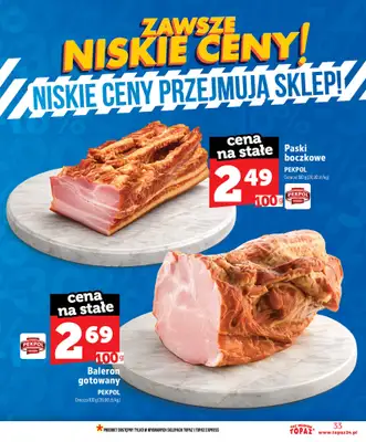 TOPAZ - gazetka promocyjna Nowa gazetka od czwartku, 11.06 od czwartku 11.06 do środy 17.06 - strona 33
