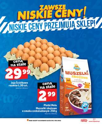 TOPAZ - gazetka promocyjna Nowa gazetka od czwartku, 11.06 od czwartku 11.06 do środy 17.06 - strona 37