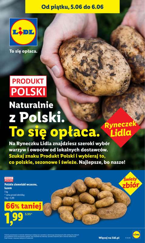 Lidl - gazetka promocyjna Oferta od piątku od piątku 05.06 do soboty 06.06 - strona 41