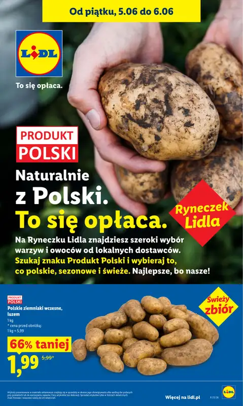 Lidl - gazetka promocyjna Oferta od piątku od piątku 05.06 do soboty 06.06 - strona 41