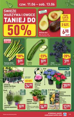 Aldi - gazetka promocyjna Pełny katalog! od poniedziałku 08.06 do soboty 13.06 - strona 33