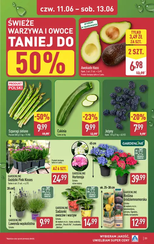 Aldi - gazetka promocyjna Pełny katalog! od poniedziałku 08.06 do soboty 13.06 - strona 33