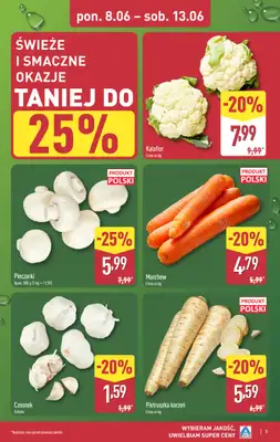Aldi - gazetka promocyjna Pełny katalog! od poniedziałku 08.06 do soboty 13.06 - strona 5