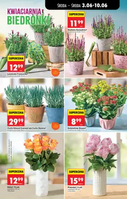 Biedronka - gazetka promocyjna Od środy od środy 03.06 do środy 10.06 - strona 73
