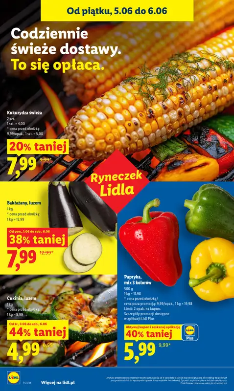 Lidl - gazetka promocyjna Oferta od piątku od piątku 05.06 do soboty 06.06 - strona 42