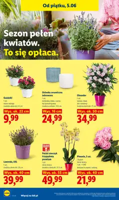 Lidl - gazetka promocyjna Oferta od piątku od piątku 05.06 do soboty 06.06 - strona 88