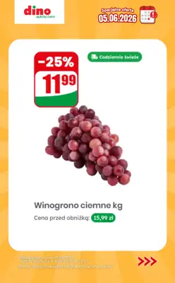 Dino - gazetka promocyjna Specjalna oferta na 05.06.2026 - promocje spoza gazetki od piątku 05.06 do piątku 05.06 - strona 6