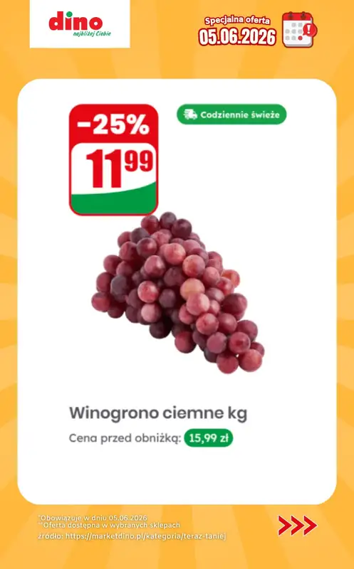 Dino - gazetka promocyjna Specjalna oferta na 05.06.2026 - promocje spoza gazetki od piątku 05.06 do piątku 05.06 - strona 6