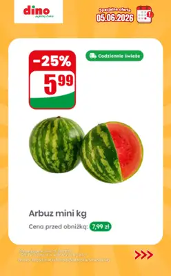 Dino - gazetka promocyjna Specjalna oferta na 05.06.2026 - promocje spoza gazetki od piątku 05.06 do piątku 05.06 - strona 2