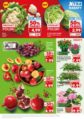 Kaufland - gazetka promocyjna Mocny Start od poniedziałku 08.06 do środy 10.06 - strona 5