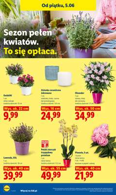 Lidl - gazetka promocyjna Oferta od piątku od piątku 05.06 do soboty 06.06 - strona 88