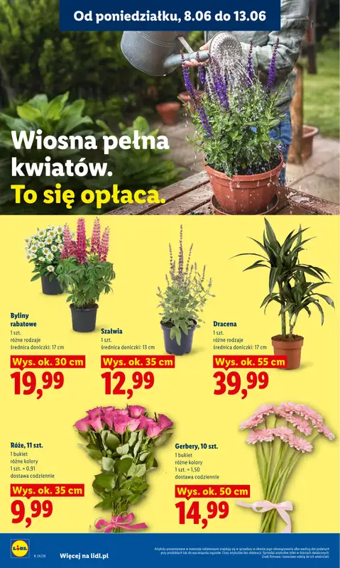 Lidl - gazetka promocyjna Oferta od poniedziałku od poniedziałku 08.06 do środy 10.06 - strona 82