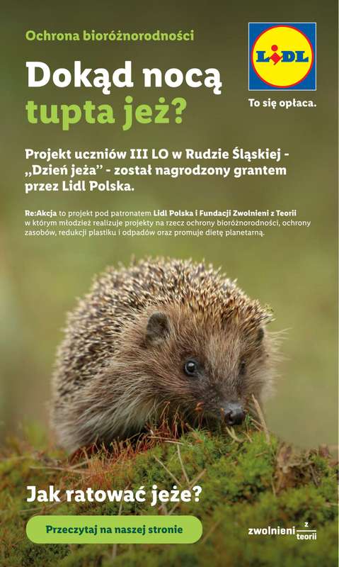 Lidl - gazetka promocyjna Oferta od poniedziałku od poniedziałku 08.06 do środy 10.06 - strona 88