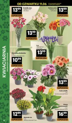 Delikatesy Centrum - gazetka promocyjna Gazetka  do środy 17.06 - strona 38