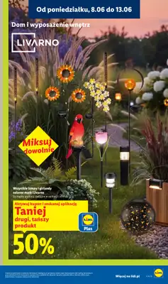 Lidl - gazetka promocyjna Katalog od poniedziałku 08.06 do soboty 13.06 - strona 19