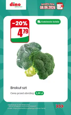 Dino - gazetka promocyjna Specjalna oferta na 08.06.2026 - promocje spoza gazetki od poniedziałku 08.06 do poniedziałku 08.06 - strona 7