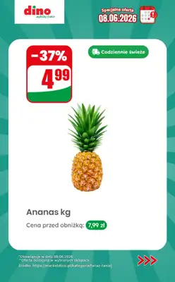Dino - gazetka promocyjna Specjalna oferta na 08.06.2026 - promocje spoza gazetki od poniedziałku 08.06 do poniedziałku 08.06 - strona 5