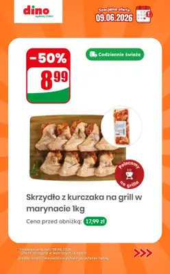 Dino - gazetka promocyjna Specjalna oferta na 09.06.2026 - promocje spoza gazetki od wtorku 09.06 do wtorku 09.06 - strona 10