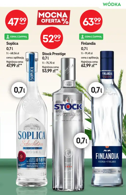 Żabka - gazetka promocyjna Katalog alkoholi od środy 10.06 do wtorku 23.06 - strona 13