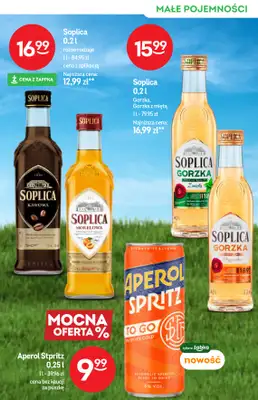 Żabka - gazetka promocyjna Katalog alkoholi od środy 10.06 do wtorku 23.06 - strona 11