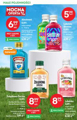 Żabka - gazetka promocyjna Katalog alkoholi od środy 10.06 do wtorku 23.06 - strona 10