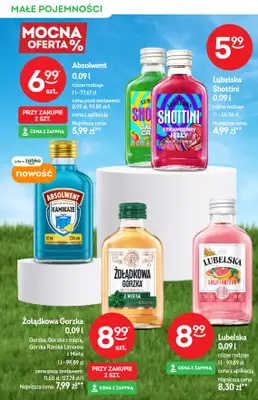 Żabka - gazetka promocyjna Katalog alkoholi od środy 10.06 do wtorku 23.06 - strona 10