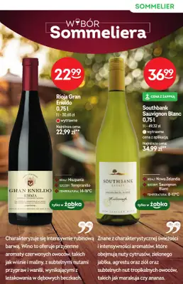 Żabka - gazetka promocyjna Katalog win od środy 10.06 do wtorku 23.06 - strona 11