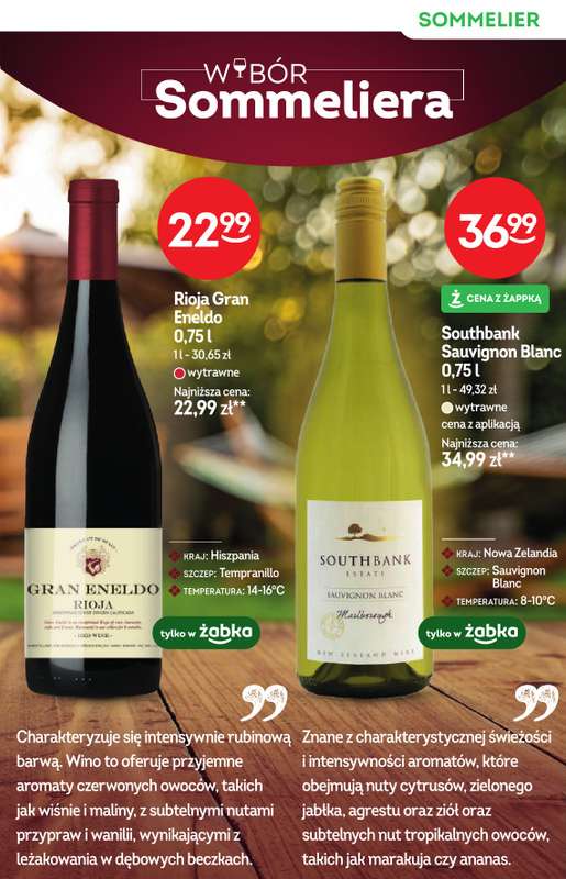 Żabka - gazetka promocyjna Katalog win od środy 10.06 do wtorku 23.06 - strona 11