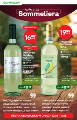 Żabka - gazetka promocyjna Katalog win od środy 10.06 do wtorku 23.06 - strona 10