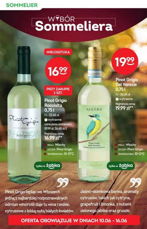 Żabka - gazetka promocyjna Katalog win od środy 10.06 do wtorku 23.06 - strona 10
