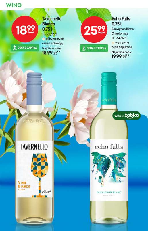 Żabka - gazetka promocyjna Katalog win od środy 10.06 do wtorku 23.06 - strona 12