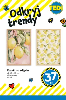 Tedi - gazetka promocyjna Letnie TRENDY! od wtorku 09.06  - strona 5