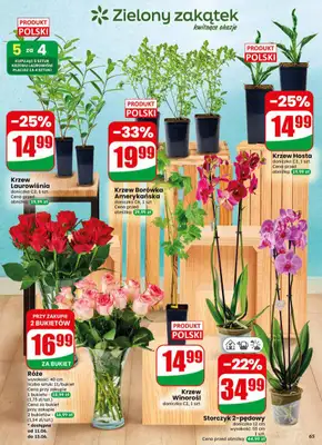 Dino - gazetka promocyjna Gazetka 24 / 2026 od środy 10.06 do wtorku 16.06 - strona 65