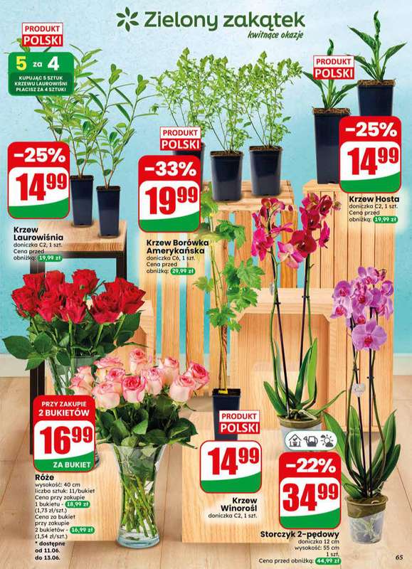 Dino - gazetka promocyjna Gazetka 24 / 2026 od środy 10.06 do wtorku 16.06 - strona 65