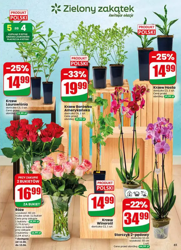 Dino - gazetka promocyjna Gazetka 24 / 2026 od środy 10.06 do wtorku 16.06 - strona 65