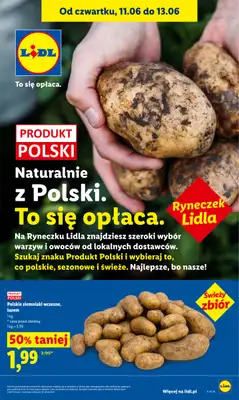Lidl - gazetka promocyjna Oferta od czwartku od czwartku 11.06 do soboty 13.06 - strona 45