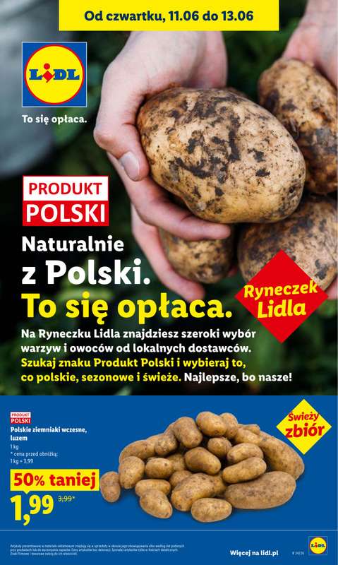 Lidl - gazetka promocyjna Oferta od czwartku od czwartku 11.06 do soboty 13.06 - strona 45
